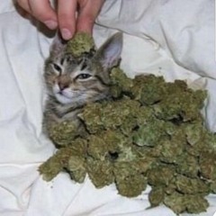 smokizaza