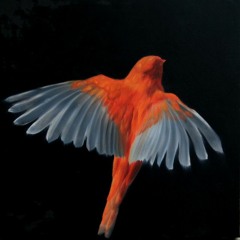 Simurg