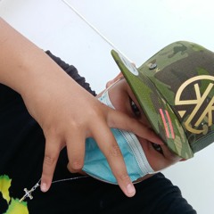 Tema hight