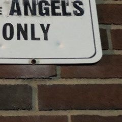 Taya