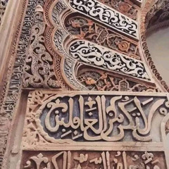 وليد هاني