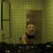 chien