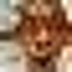yng