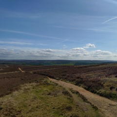 Jack vault dweller 76