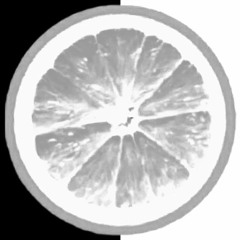 LEMONSherbet
