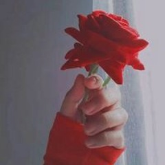 عريسنا قمر