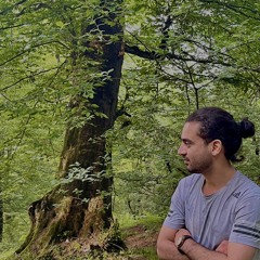 Saeid.Rsst