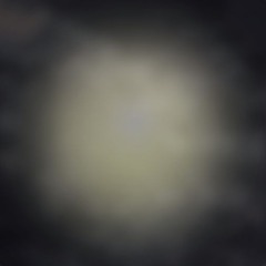 OKAMI