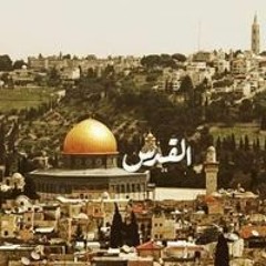 شريف مصطفي
