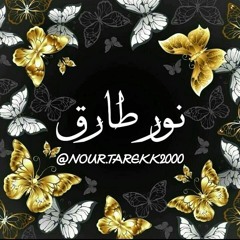 Nour Tarek