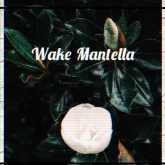 WAKE MANTELLA