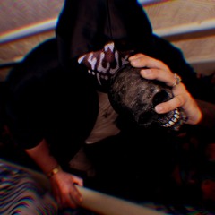 Narcissists / WN6