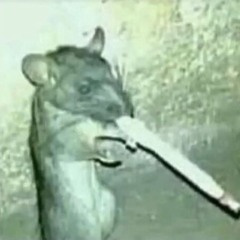 ratsmoker
