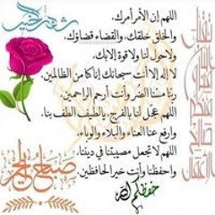 محمد عثمان أبو بكر