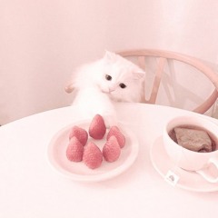 ᙏ̤̫~Fer