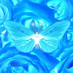 wing of nature