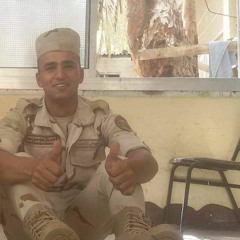 محمود نور الدين