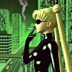 System Sophie