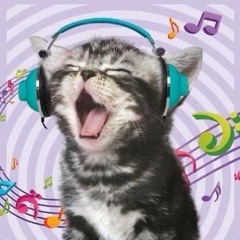 oh no im so silly😢