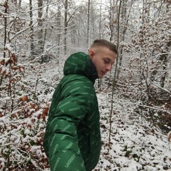 Stahlharter Kater Max