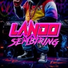 LANDO SEMBIRING