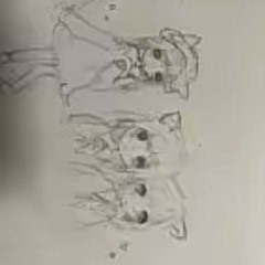 (μ_μ) ﻭ ・゜。・・