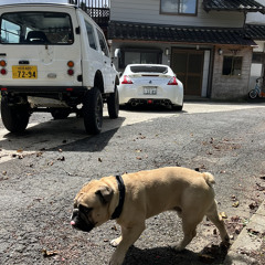Keiryu