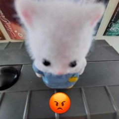 desky 茶瓶