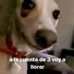 José carlos Elizalde Leal