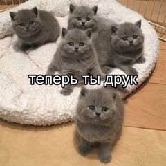 Khis