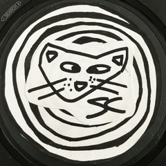 SpiralCat