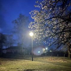 даринка
