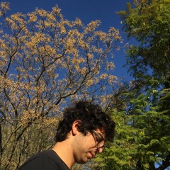 fran arroyo