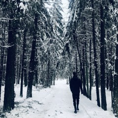 Tomas Vasiliauskas 2