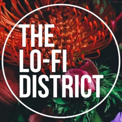 The Lo-Fi District