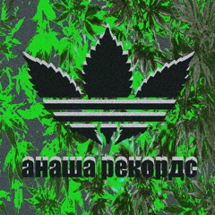 анаша рекордc