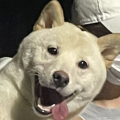 heeeeeeeeeee