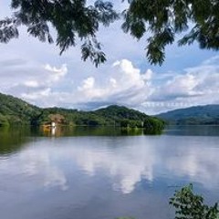 Alfaro Alfaro Alfaro