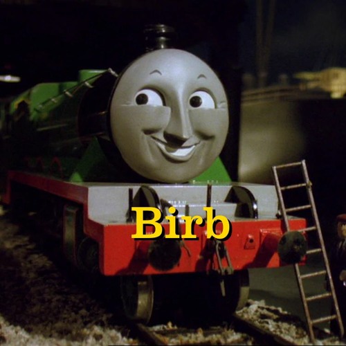 Birb’s avatar