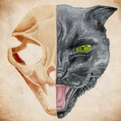 Postcards of a Future You