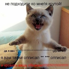 Кулеш