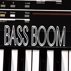 Bass Boom Productions