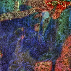 ANDRE RiiZiNG