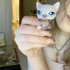 galaretka