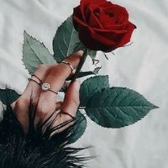 Malak Erfan