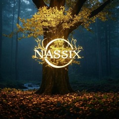 NASSIX - Everything Is Energy