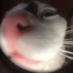uowonna