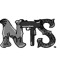 NOTHING 2 SOMETHING (n2s * NTS)