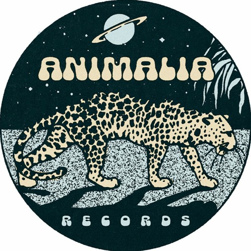 Animalia Records’s avatar