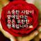 낭랑청춘58세추매옥🌹